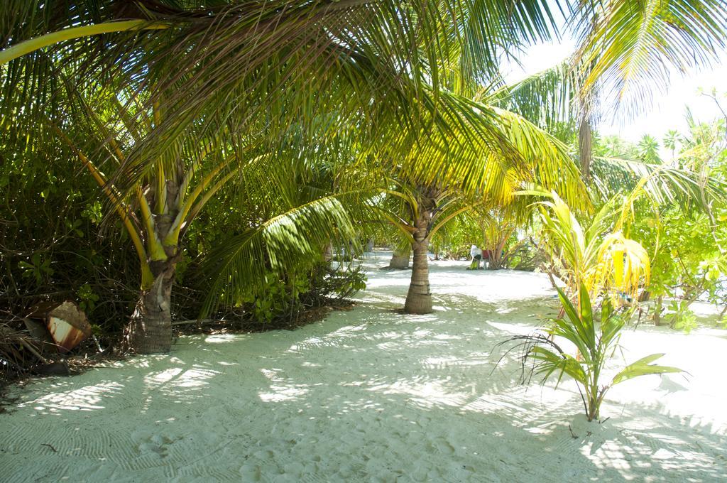 Palm Garden Hotel Thoddoo Luaran gambar